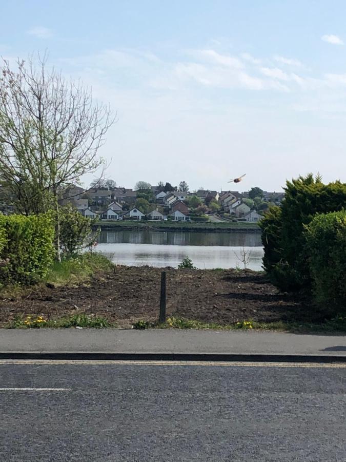 Lake View Galway City Eksteriør billede